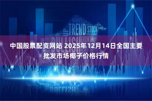 中国股票配资网站 2025年12月14日全国主要批发市场椰子价格行情
